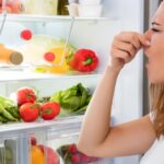 What Causes Refrigerator Odor