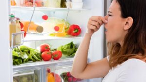 What Causes Refrigerator Odor