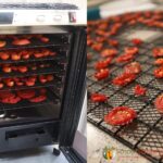 Who Needs a Food Dehydrator