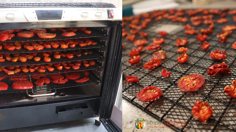 Who Needs a Food Dehydrator