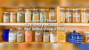 How to Keep Pantry Dry And Mold Free