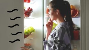 How to Keep Refrigerator Smelling Fresh