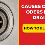 Why Drain Smells Bad