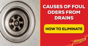 Why Drain Smells Bad