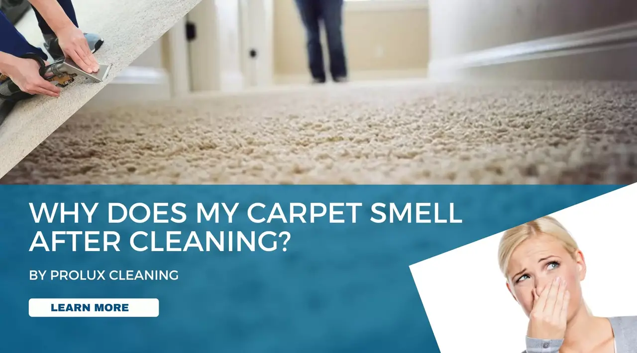 Why Carpet Smells After Cleaning